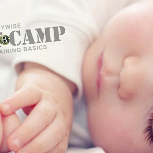 Babywise Boot Camp