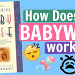 How Babywise Actually Works