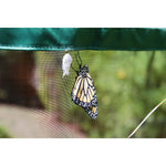 One Inch Series 8 ft x 7 ft. Backyard Butterfly Learning Center