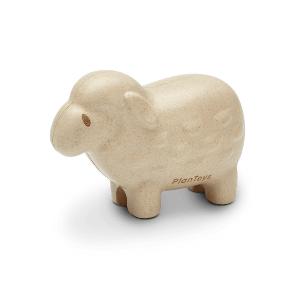 Sheep - 6142